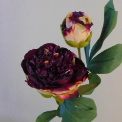 Antique Peony Burgundy | Faux Dried Flowers 50cm - P068 R1