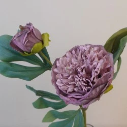 Antique Peony Mauve | Faux Dried Flowers 50cm - P028 U4