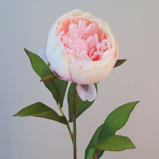 Artificial Peony Flowers Candy Crush Pink 62cm - P191 L3