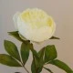 Peony Flowers Lemon 63cm - P117 L2