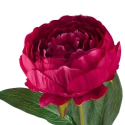 Artificial Peony Dark Pink 79cm  - P091 G1