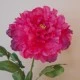 Artificial Tree Peony Flowers Hot Pink 70cm - P066 T2
