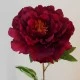 Artificial Peony Wine - X19009 F4