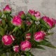Real Touch Peony Buds Magenta 48cm - P020 