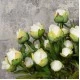 Real Touch Peony Buds Cream 48cm - P037 J3