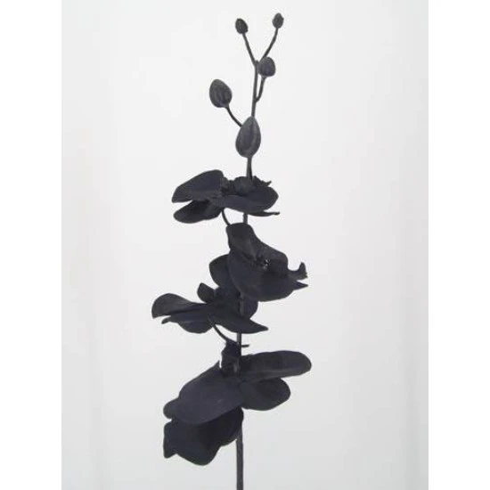 Artificial Phalaenopsis Orchid Black 90cm - J004 I4
