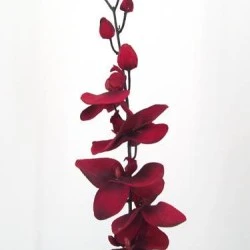Artificial Phalaenopsis Orchid Blood Red 90cm - J015 K4