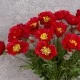 Artificial Icelandic Poppy Red 72cm - P158 K3
