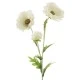 Wild Poppies White 70cm - P013 M3