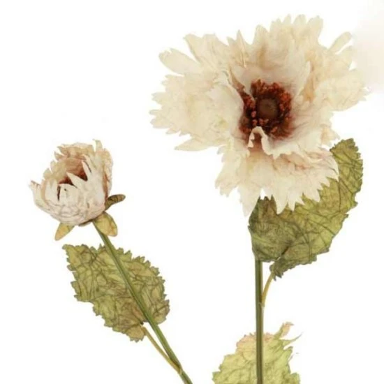Antique Ruffled Poppy Oyster Cream 75cm | Faux Dried Flowers - P029 K4
