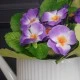 Artificial Primula Plants Purple 22cm - P142 BX20