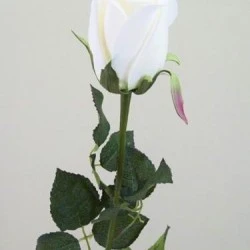 Prize Rose Bud Cream 62cm - R156A GG4