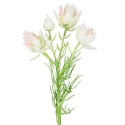 Artificial Blushing Bride Protea Flowers Blush Pink 55cm - P102 S3