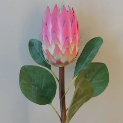 Artificial King Protea Pink 65cm - P085 BX10