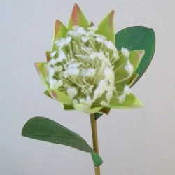 Artificial Protea Green 57cm - P044 K3