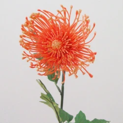 Artificial Leucospermum Protea Orange 75cm - L115 