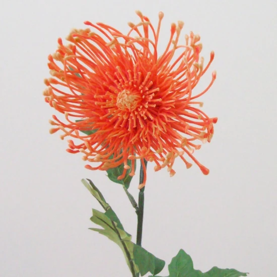 Artificial Leucospermum Protea Orange 75cm - L115 KK3