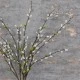 Artificial Pussy Willow Branch 81cm - PUS004 HH3