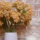 Artificial Queen Anne's Lace Orange 47cm - Q004 P3