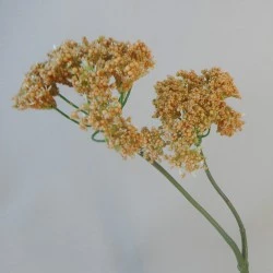 Artificial Queen Anne's Lace Orange 47cm - Q004 P3