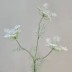 Faux Queen Anne's Lace White 80cm - Q003 