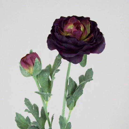 Ranunculus Damson 40cm - R042A N3