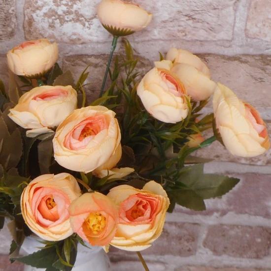 Ranunculus Plant Peach 26cm - R029 FF2