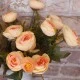 Ranunculus Plant Peach 26cm - R029 FF2