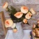 Ranunculus Plant Peach 26cm - R029 FF2