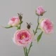 Ranunculus Flowers Pink Open 43cm - R427 GG4
