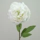 Real Touch Peony Cream 70cm - P015 