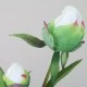 Real Touch Peony Buds Cream 48cm - P037 J3