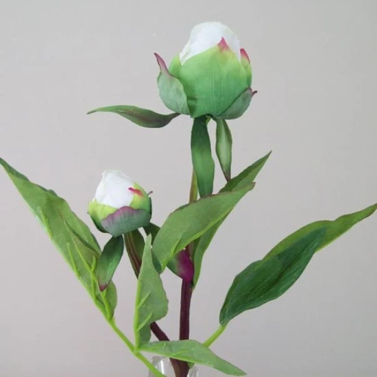Real Touch Peony Buds Cream 48cm - P037 J3