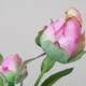 Real Touch Peony Buds Pink 48cm - P039 