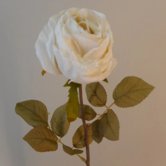 Antique Rose Cream 68cm | Faux Dried Flowers - R230 S2
