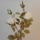 Antique Rose Spray Cream 64cm | Faux Dried Flowers - R234 HH2