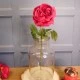 Artificial Cabbage Rose Cerise Pink 60cm - R777 N3