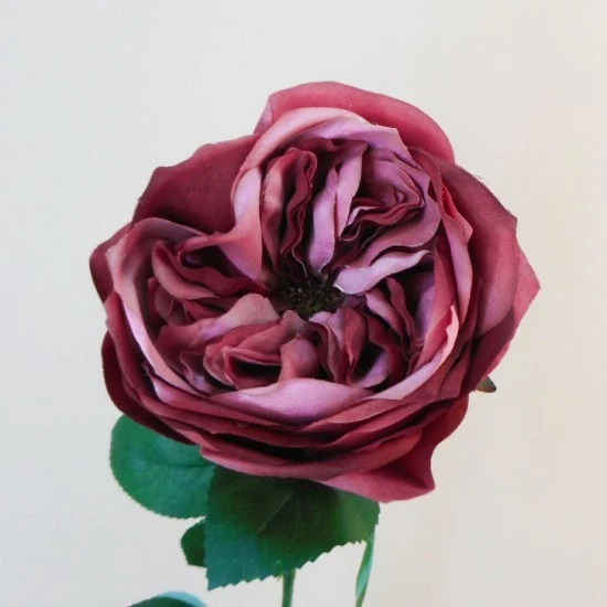 Artificial Cabbage Rose Dark Dusky Pink 60cm - R780 R2