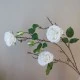 Artificial Cabbage Roses Branch Cream 90cm - R802 O4