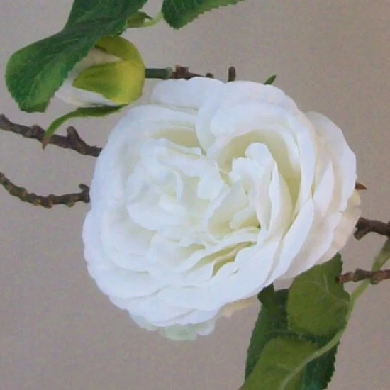 Artificial Cabbage Roses Branch Cream 90cm - R802 O4