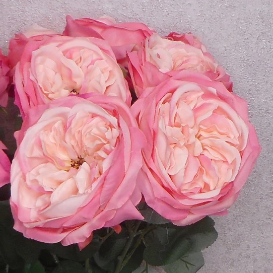 Artificial Cabbage Rose Bright Pink 60cm - R765 S3