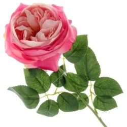 Artificial Cabbage Rose Bright Pink 60cm - R765 S3