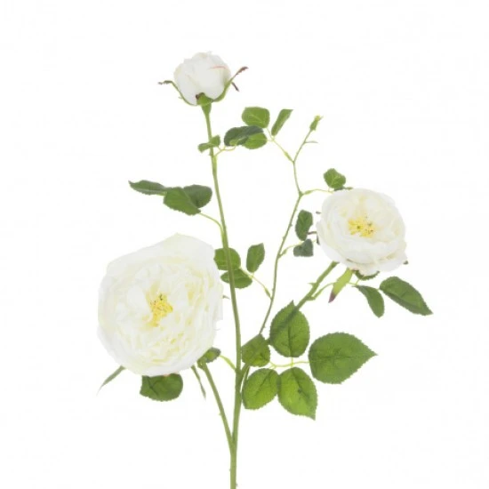 Ivory Cabbage Rose Spray 84cm - R099 BX11