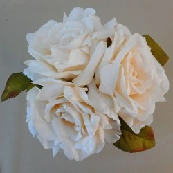 English Roses Bundle Blush Peach 24cm - R485 Q2