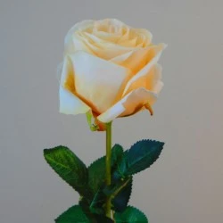 Artificial Roses Lemon Sorbet 60cm - R128 T3