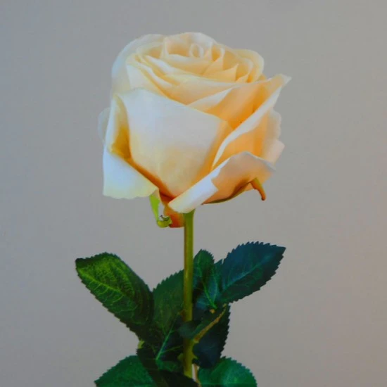 Artificial Roses Lemon Sorbet 60cm - R128 T3