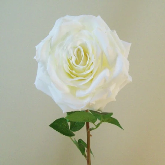 Artificial Roses Cream | Pope John Paul II 76cm - R851 K4