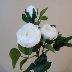 Artificial Old Roses Spray Ivory Short Stem 41cm - R605 N2