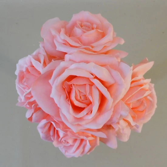 Artificial Roses Bunch Mid Coral 27cm - R352 N3