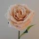 Artificial Roses Large Champagne Peach 76cm - R706 R1